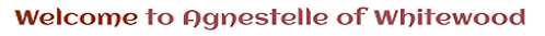 Agnestelle logo text image